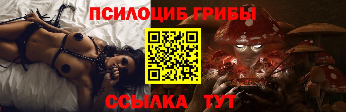 Псилоцибиновые грибы мухоморы Кимры